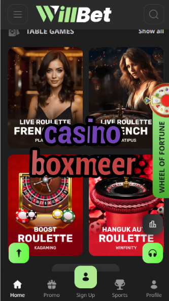 Casino Boxmeer - Netherlands' Southern Casino Hub-casinoorder.vip